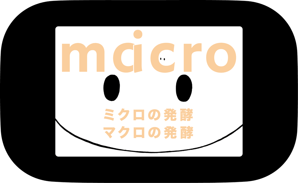 MicroMacro