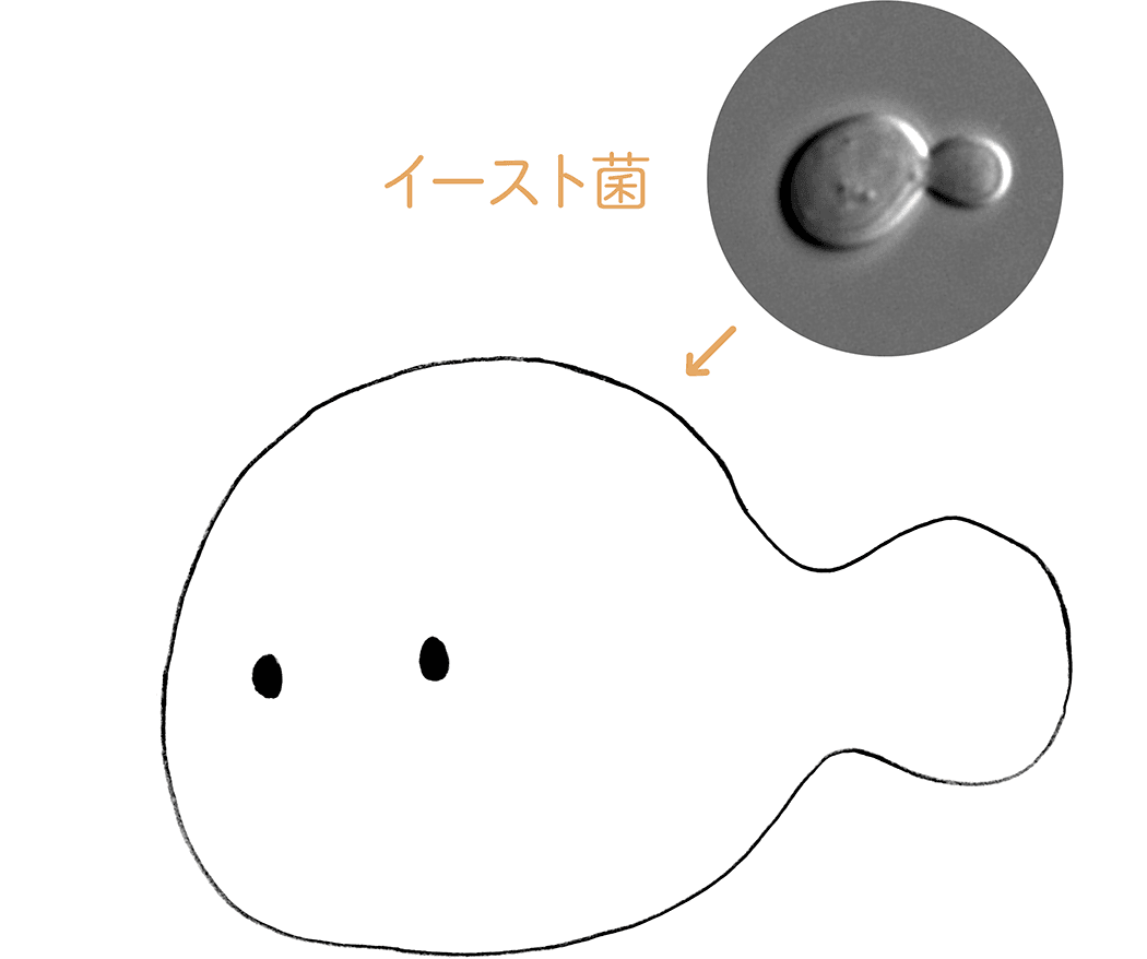 キャラクター04